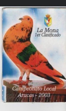 LA MONA CAMPEON LOCAL 2003